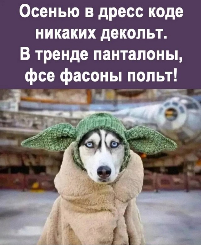 Картинки для деградации 56 (разной степени свежести)