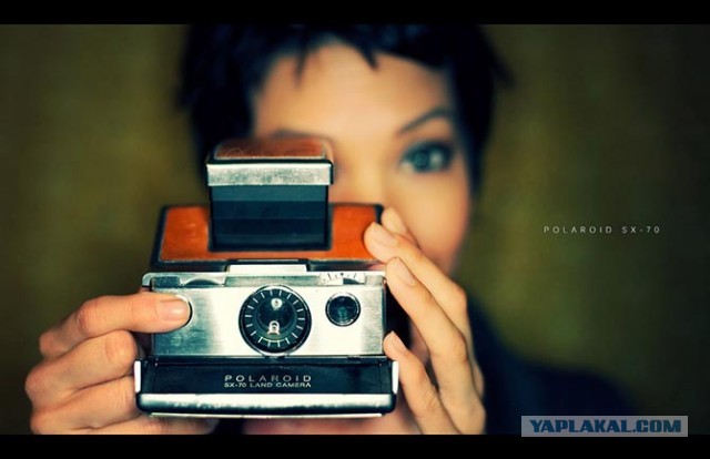 Факты о Polaroid