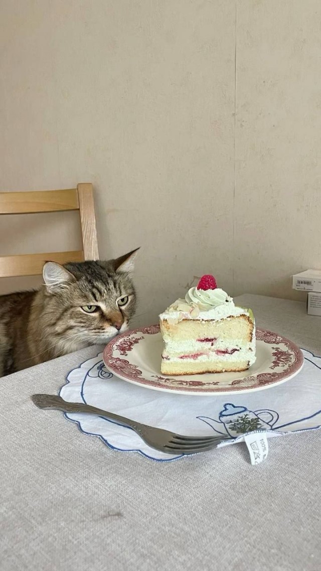 А что это вы тут делаете?