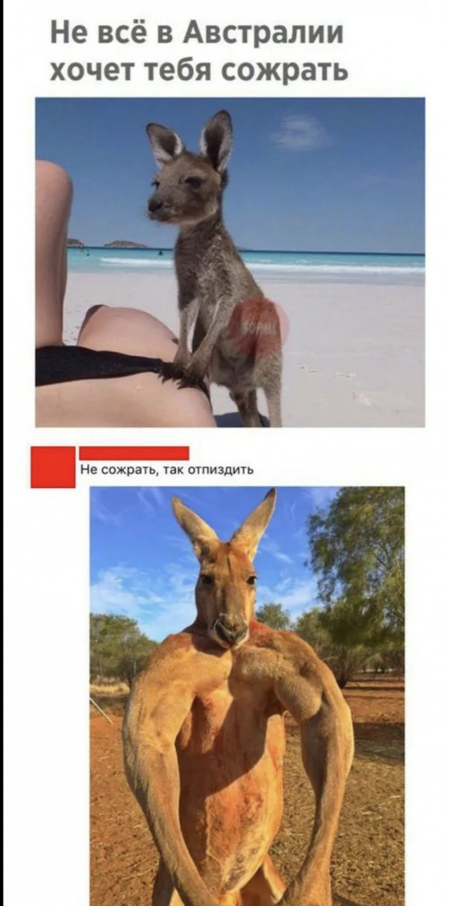 Фитнес-модель Кики из Австралии