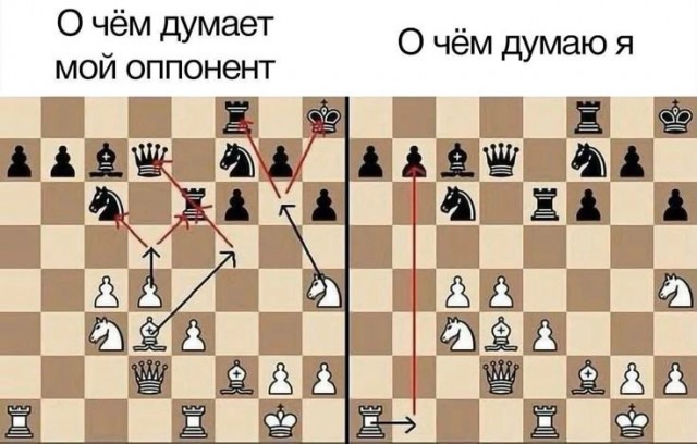 Нуштош 27.01.2026. Шахматный спецвыпуск