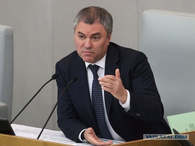 Володин предрек «большую трагедию» в Европе из-за политики по смене пола