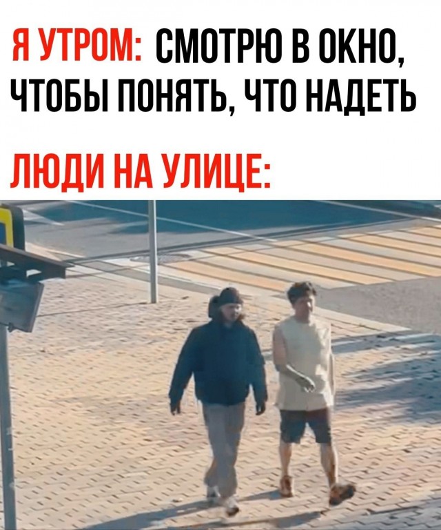 Дегрономикон. Дюжина