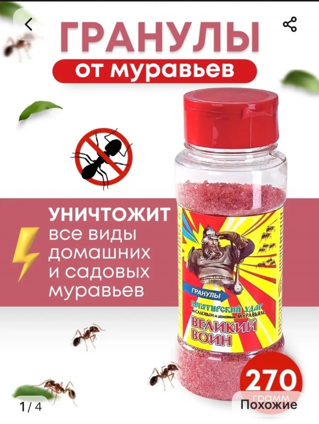 Муравьи в доме!