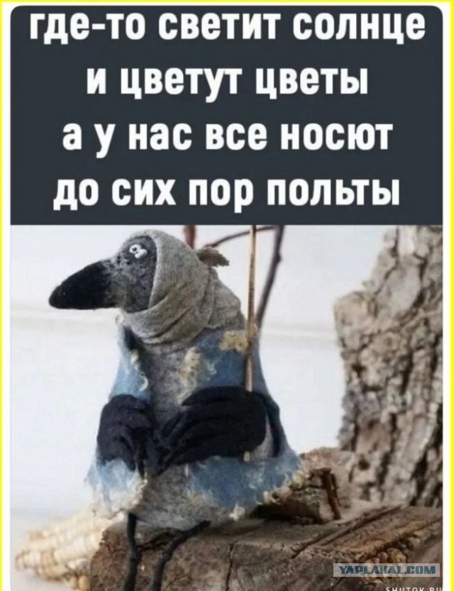 Вперёд в прошлое