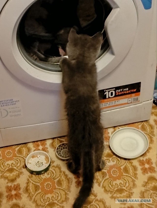 Теряю друга