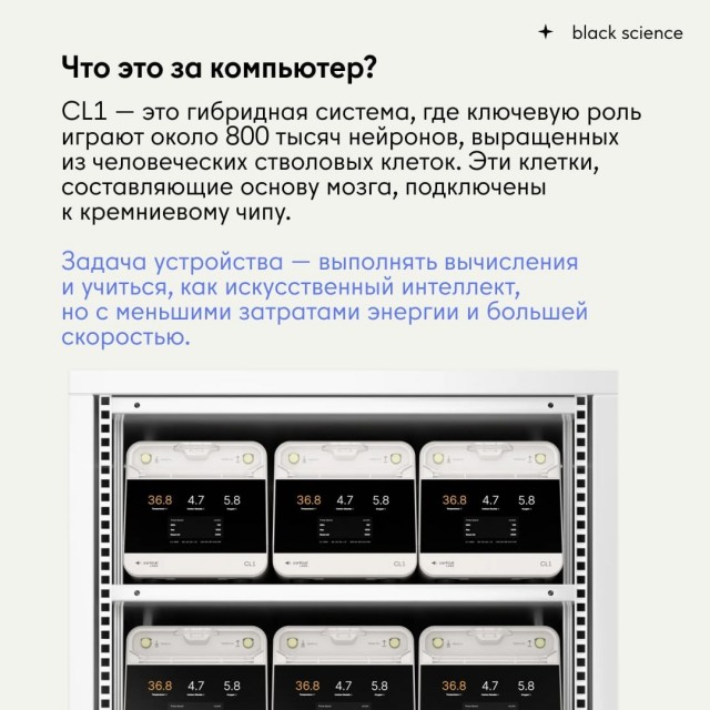 CL1: первый коммерческий биологический компьютер, работающий на человеческих нейронах.