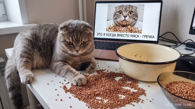 Почему гречку как кашу едят только у нас. В Европе ею кормят скот