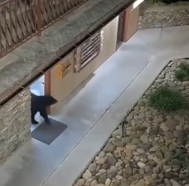 Наша служба и опасна и трудна