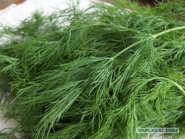 Балкон от рукожопа.