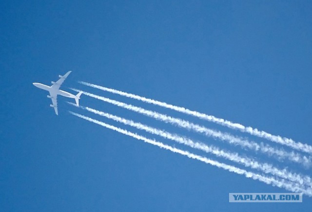 Чёртова дюжина слов