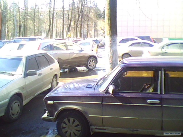 Вид из вашего окна