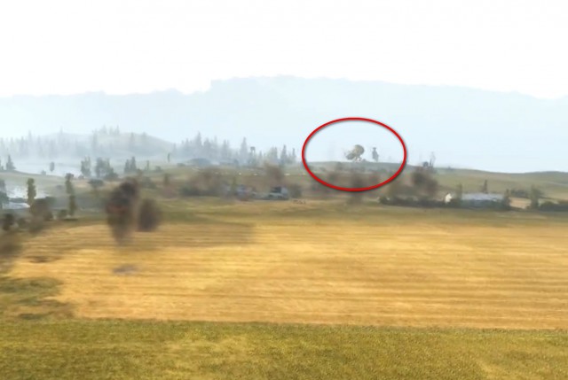 Wargaming 14