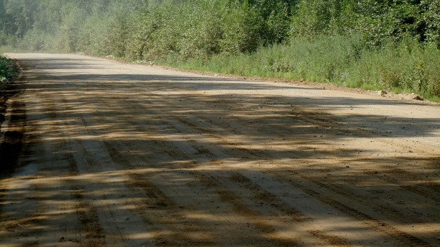 Черника 20.07.11