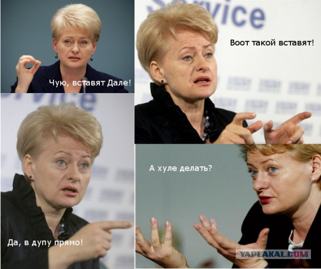 Президент Литвы: «После Украины настанет наш черёд