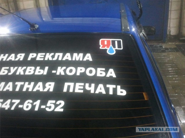 В моем доме поселился замечательный сосед.