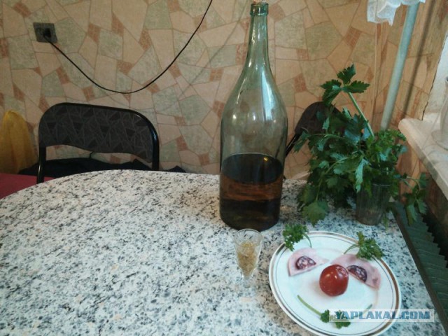 Жизнь как она есть...