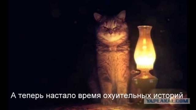 Загадочное существо вытащили из реки в Польше