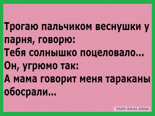 Подборка прикольных фото на пятницу