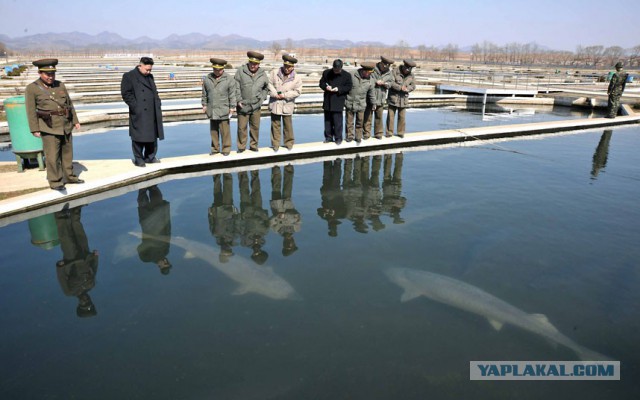 Большая подборка фото Любимого Маршала!