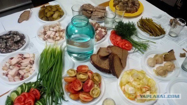 Иностранцы пробуют русский самогон