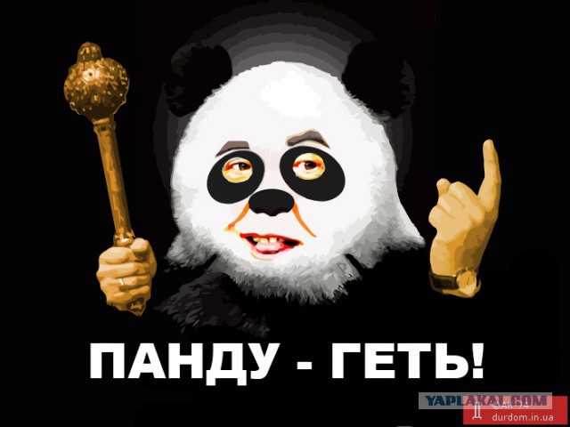 Донецка Народная Республика это: