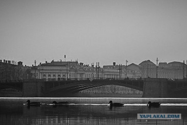 Закат в Питере