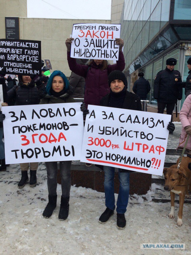 Живодерки из Хабаровска