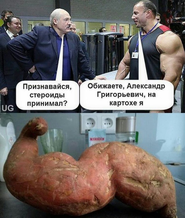 Подборка интересных и веселых картинок