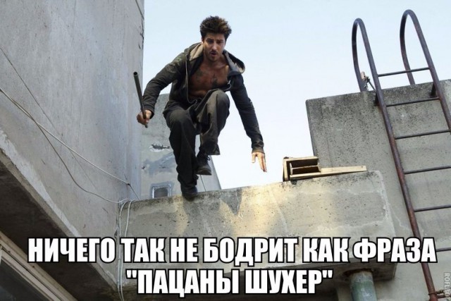 Подборка безудержного веселья
