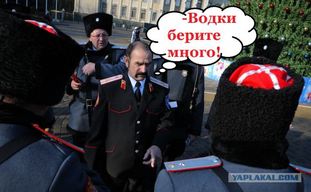Что вы знаете о понтах?
