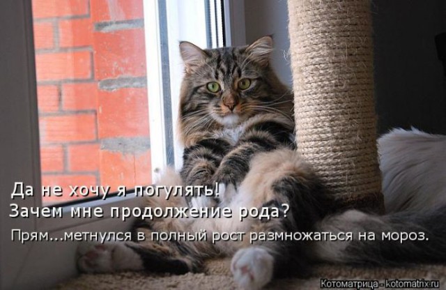 Не очень адекватный юмор