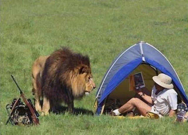 Не самый лучший день