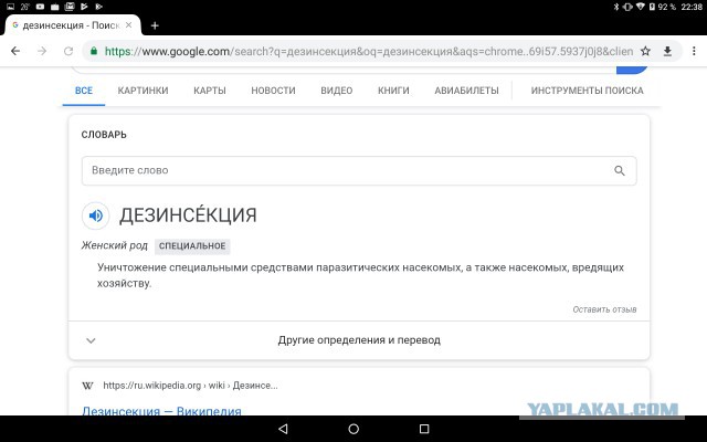 Нашествие блох - заедают