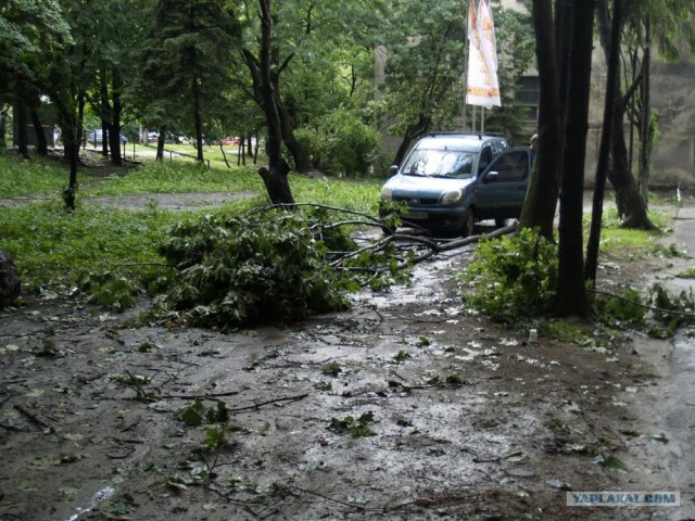 Ураган во Львове.