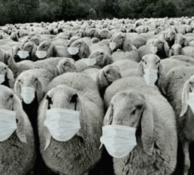 Так есть вирус или нет?