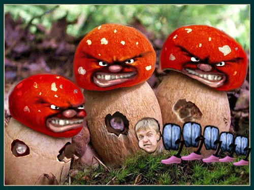 Розовые сапожки
