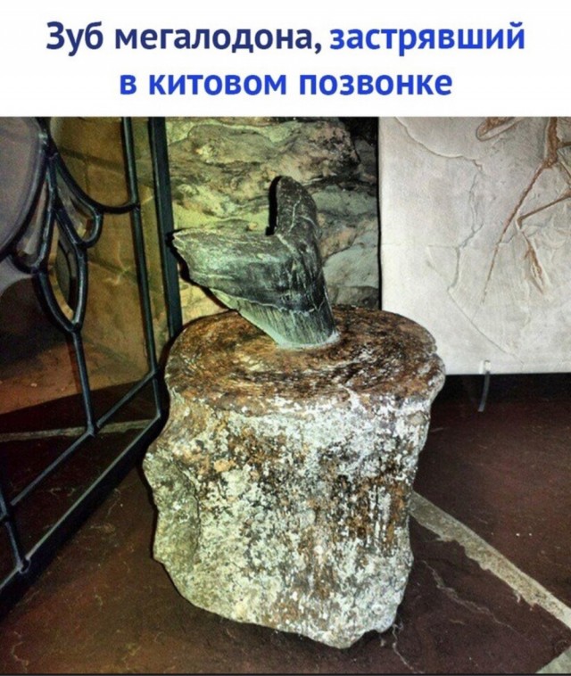 С миру по нитке 13.12