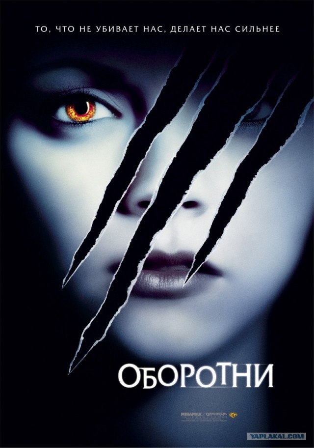 Кинокадры