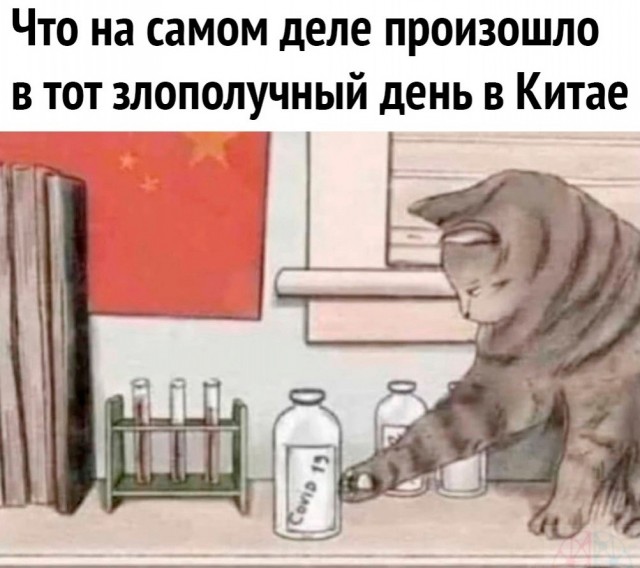Так себе картинки 11.07.21