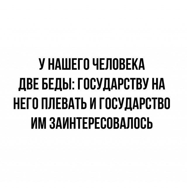 15866818.jpg