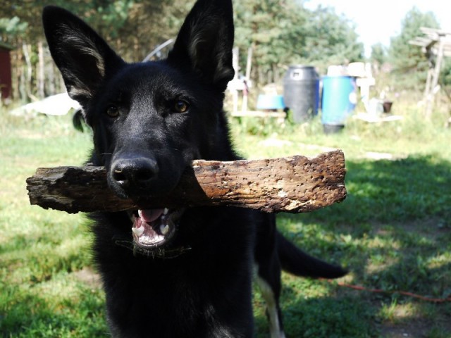 Когда то я была меньше кота, а теперь мы друзья