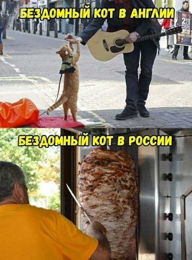 Кретинизмы из сети 09.09.2021