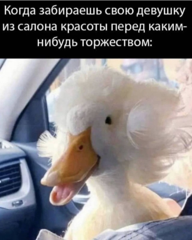Картинки и мемы для настроения 17.11.2021