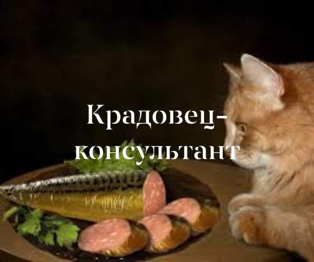 Всяческие картинки 24.12.2021