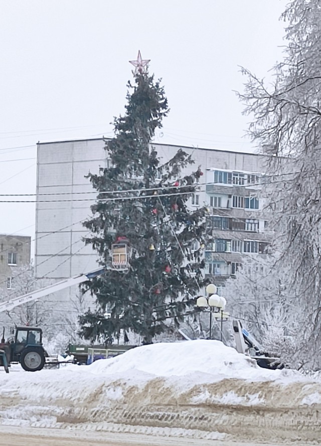Кольчугинская елка претендует на звание анти-символа Нового года