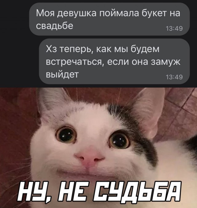 Картинки и мемы для настроения