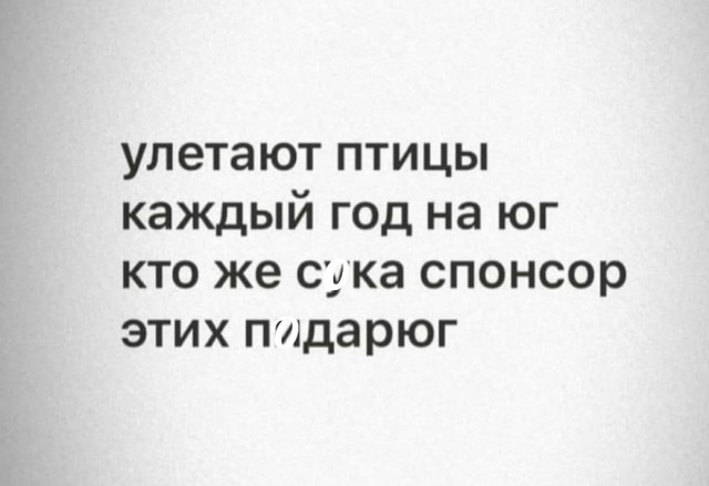 Так себе картинки 12.02.22