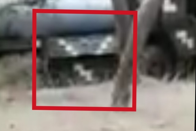Возможно уничтожено два HIMARS