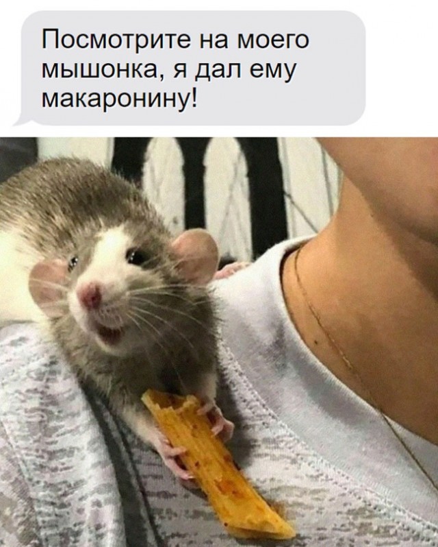Картинки и мемы для настроения. Выходные скоро